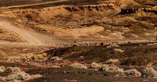 卓识晒日常随笔：我的美女朋友们 眼前一亮又一亮